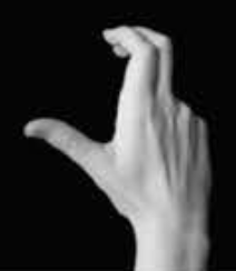 Handshape 14