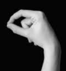 Handshape 3