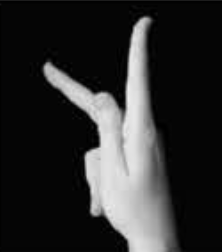 Handshape 15