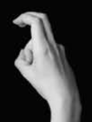 Handshape 13