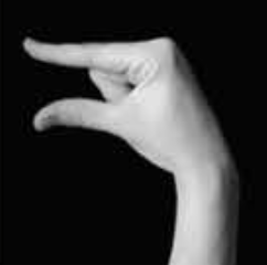 Handshape 1