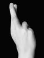 Handshape 16
