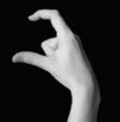 Handshape 4