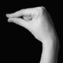 Handshape 2
