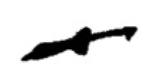 Hieratic sign 10